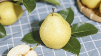 2025年我國(guó)梨產(chǎn)業(yè)數(shù)據(jù)分析簡(jiǎn)報(bào)