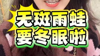 無(wú)斑雨蛙重返上海！生態(tài)環(huán)境變好了嗎？