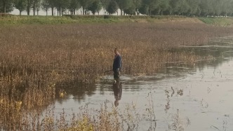 糧食、蔬菜和氣候變化下的農民