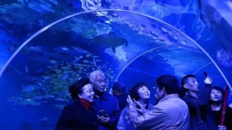 10月27日-29日，這些人免費(fèi)游鄂野、海洋館→