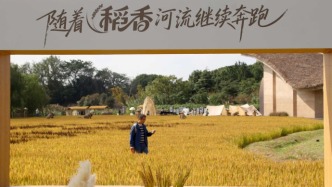 江蘇蘇州：感受六千載稻作文化 續(xù)寫新時代農業(yè)篇章