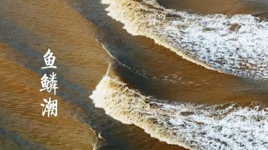 挑盡春風(fēng)，去看四海潮生