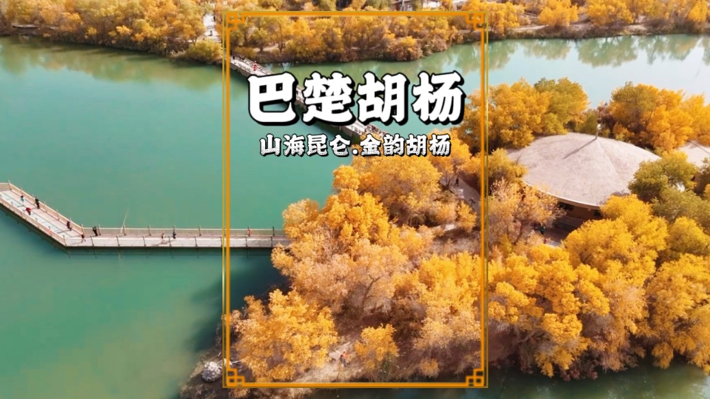 躺在巴楚胡楊林中，感受中國秋色的天花板，連發呆都是一種享受