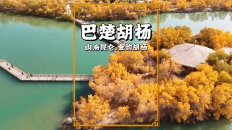 躺在巴楚胡楊林中，感受中國(guó)秋色的天花板，連發(fā)呆都是一種享受