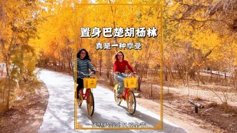 置身巴楚紅海胡楊林，無論是漫步騎行，還是泛舟湖上，皆是享受