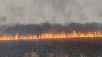 韩家园林业局高效完成2025年秋季战略防火阻隔带计划烧除工作