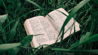 影視作品發(fā)行結(jié)束后收益分配前，當(dāng)事人能否解除合同？