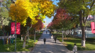 片片飄落的楓葉像思念