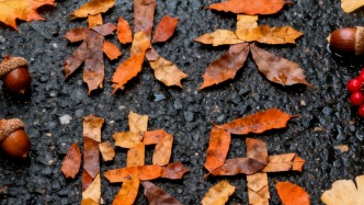 低頭！把東營的秋天“撿”到手心里！