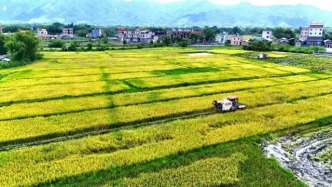 官宣！肇慶這里要做國(guó)家級(jí)“種子選手”！