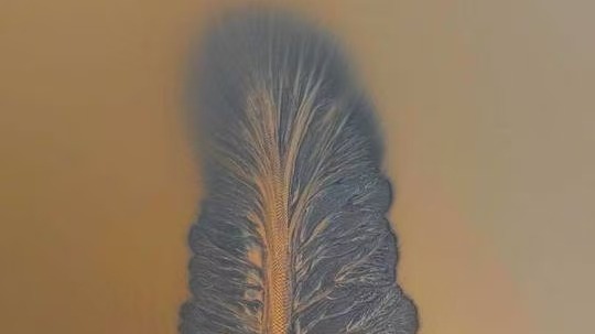 登高望遠錢塘江，盡入眼簾無限風光