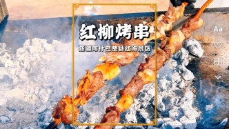 游巴楚紅海景區(qū)，這里的紅柳烤串特別好吃，20元一串，供不應(yīng)求