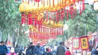 济南千佛山第42届“九月九”重阳山会热闹非凡！