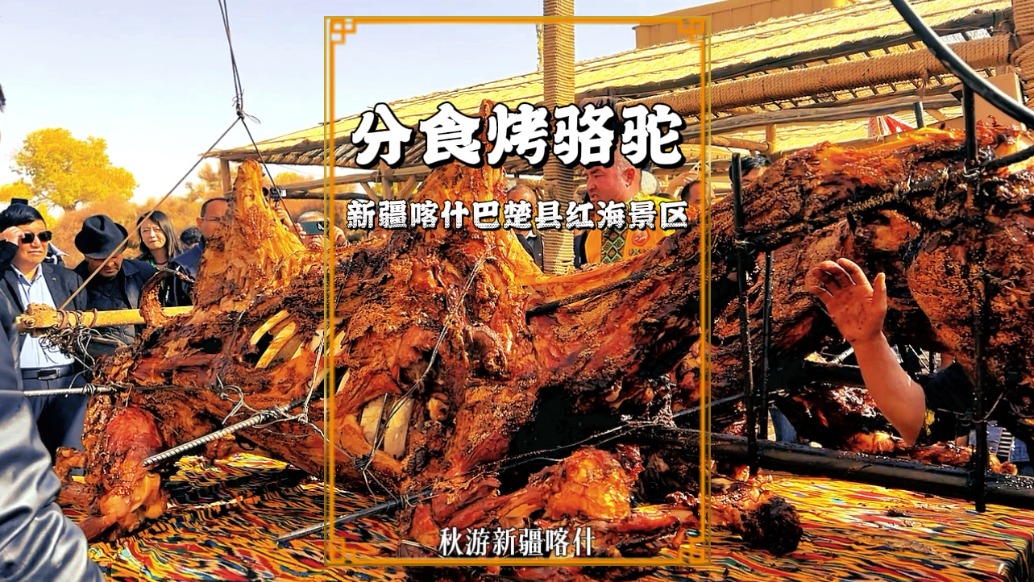 駱駝也可烤著吃？馕坑高達10米，數(shù)百人齊聚分食，真是令人難忘