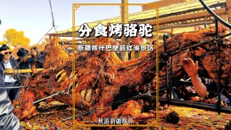 駱駝也可烤著吃？馕坑高達(dá)10米，數(shù)百人齊聚分食，真是令人難忘