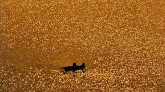 冉冉星河遠，共與乘舟還