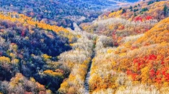 驶入G334文旅大通道，收获一路不停的风景与故事！