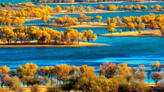 3條寶藏高速公路，深秋自駕封神！