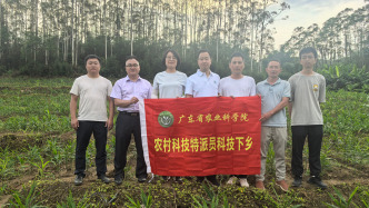 守護“菜籃子”安全，省農(nóng)科院科技特派員團隊為連山蔬菜產(chǎn)業(yè)開出“綠色良方”