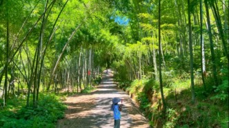 長沙高質量秋日遛娃攻略來了，天氣正好快收藏！