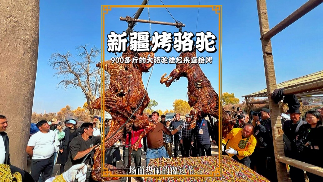 新疆硬核美食烤駱駝，900斤烤駱駝出爐時(shí)香氣沖天，引千人圍觀