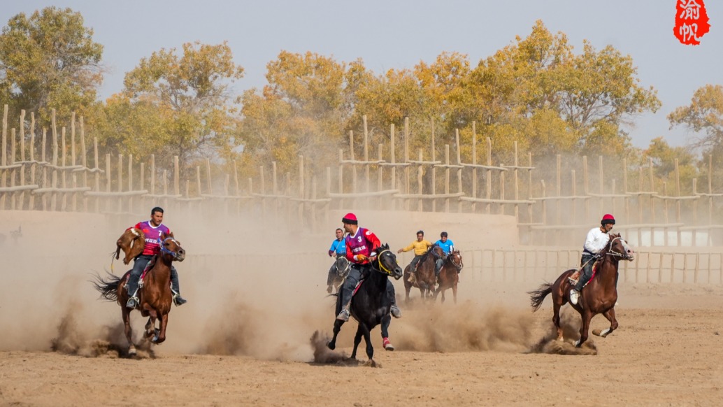秋游新疆巴楚，实拍精彩的叼羊比赛，这才是真正的一马当先