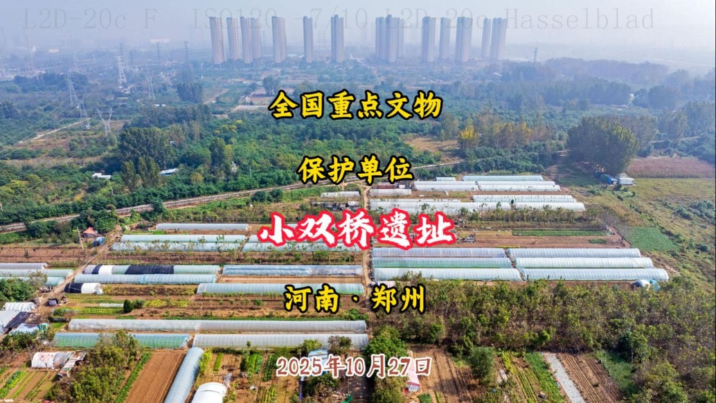 比殷墟還早!改寫商朝歷史的鄭州小雙橋遺址,夏商文化交融的“活化石”