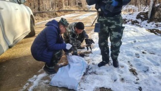 筑牢生态安全屏障！韩家园林业局完成林业鼠害越冬代调查