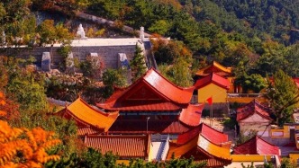 在山東這座小城，我親手淘到了閃閃的金子！