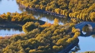 秋韵大安｜秋意浓 念无恙 时光温柔 岁月静好