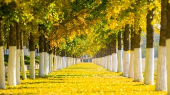 到萊州市小草溝 “拍秋”！承包你的社交圈