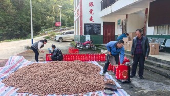 “以購代扶”暖民心 四川幼專開展助農(nóng)行動