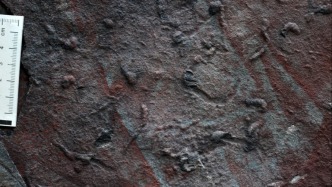 科學家發現迄今最古老的復雜三維潛穴系統