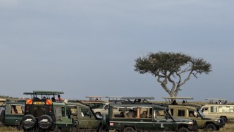 去肯尼亞看動物，為什么讓年輕人熱淚盈眶？