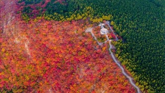 《济南赏红叶地图》带你邂逅满城“红”运！别错过最佳观赏期！