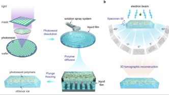 北大教授跨界“芯片制造”？缺陷率降低99%