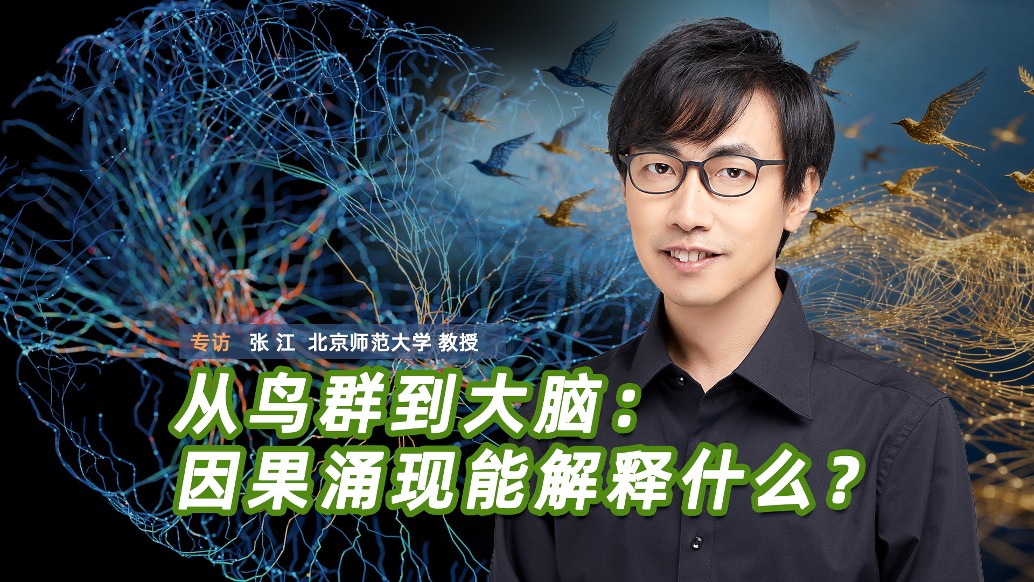 從鳥群到大腦：因果涌現(xiàn)能解釋什么？