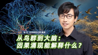 從鳥群到大腦：因果涌現(xiàn)能解釋什么？