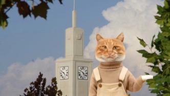 蘭大秋天 + 會蹦迪的小貓 = 快樂超標~