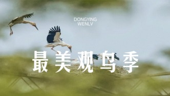 “鳥浪”來了！這份觀鳥攻略請收好