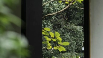 雨后，沙坪公園的秋日私語
