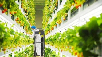 江蘇揚(yáng)州：聯(lián)動(dòng)發(fā)展激活內(nèi)生動(dòng)力，繪就鄉(xiāng)村“共富”新圖景