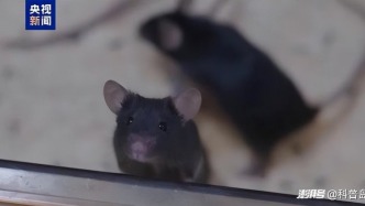 神舟小鼠一小步，中國航天一大步！官方：五年內登月不動搖