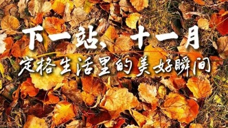 下一站，十一月！定格生活里的美好瞬间