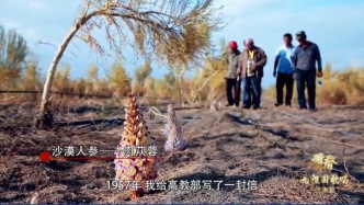 深切緬懷中國著名植物學(xué)家、治沙專家劉銘庭校友！