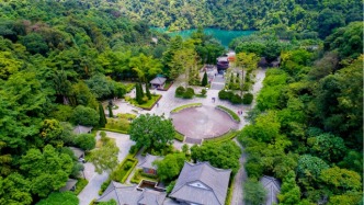 百萬(wàn)粉絲達(dá)人寶哥攜導(dǎo)盲犬游覽鼎湖山，直呼：空氣好清新！