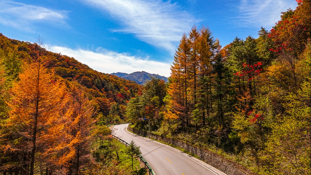 实拍神农架天燕景区,秋色正浓,层林尽染,美如画卷