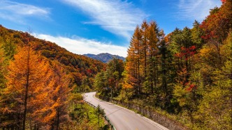 實(shí)拍神農(nóng)架天燕景區(qū)，秋色正濃，層林盡染，美如畫卷