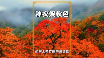 神農(nóng)架秋景正式上線，華中屋脊迎來年度最美季節(jié)