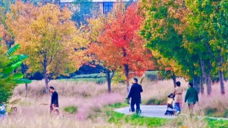 來南昌，打卡秋日限定 “楓” 景！